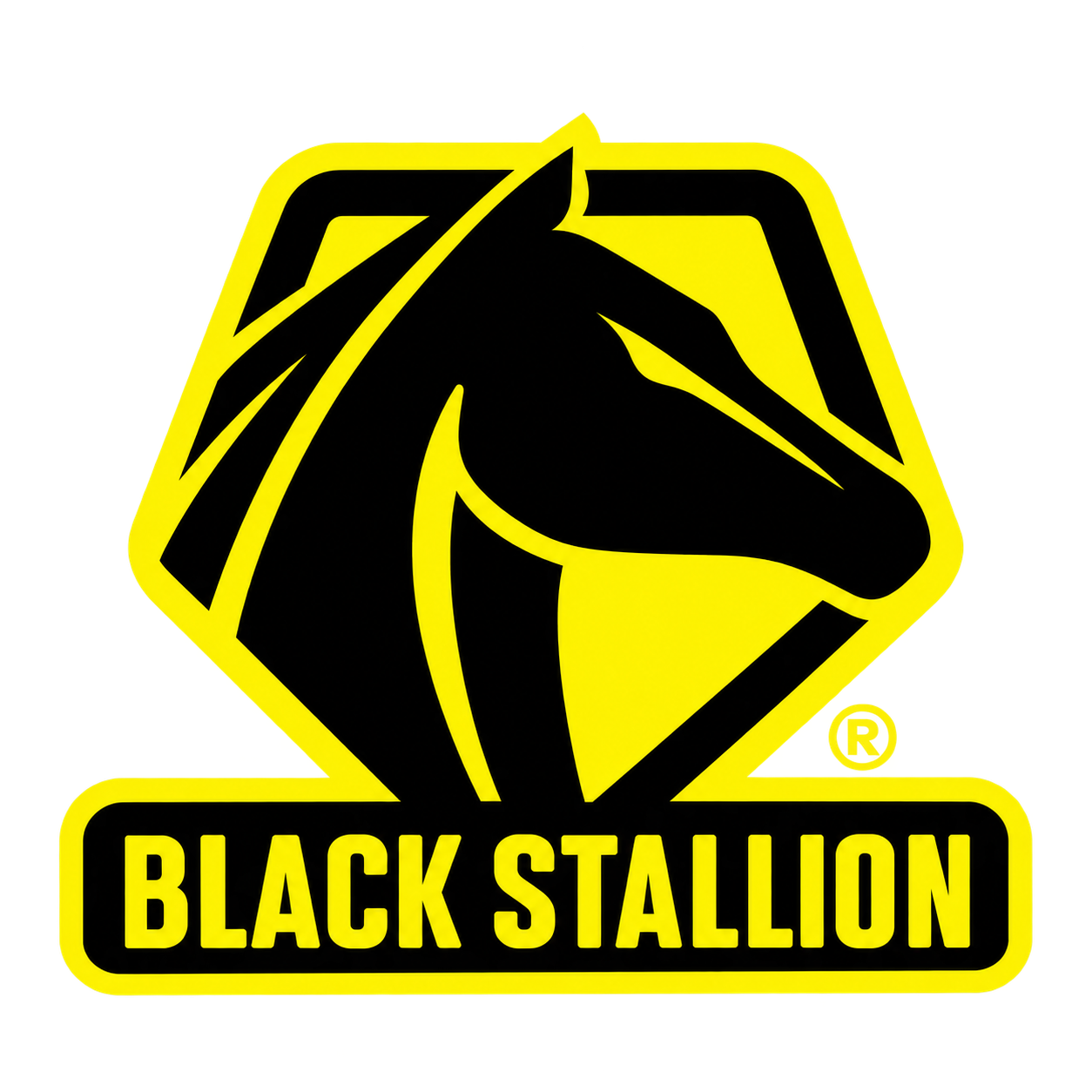 Black Stallion