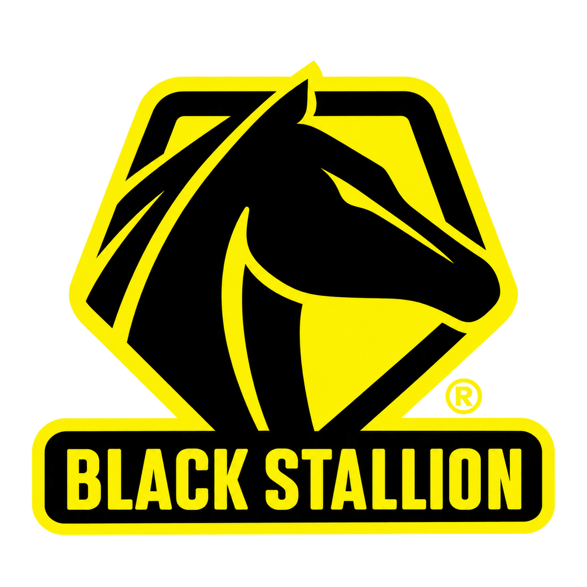 Black Stallion