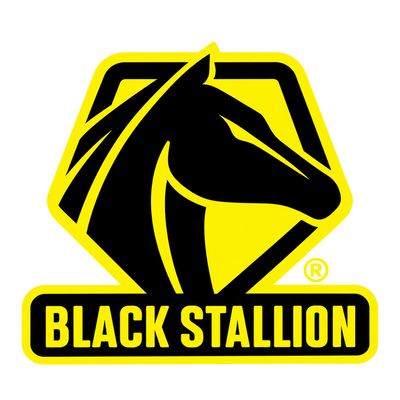 Black Stallion